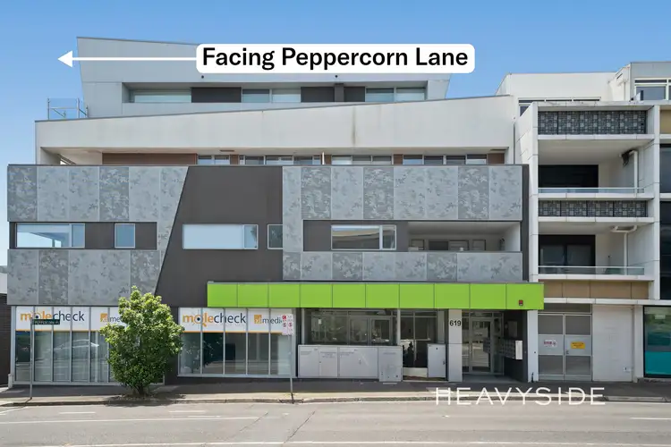 303/619 Canterbury Road