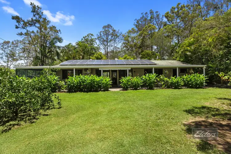 53 David Drive