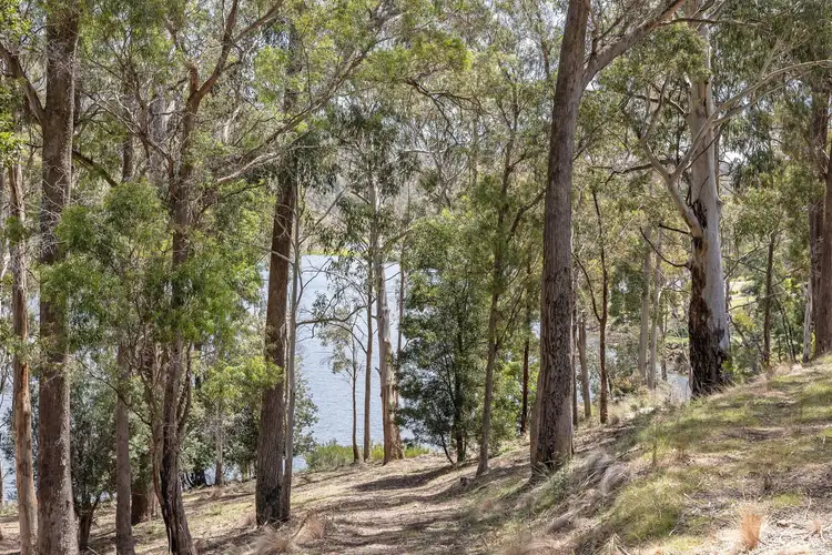 Third view of Homely house listing, 176 Blackstone Road, Blackstone Heights TAS 7250