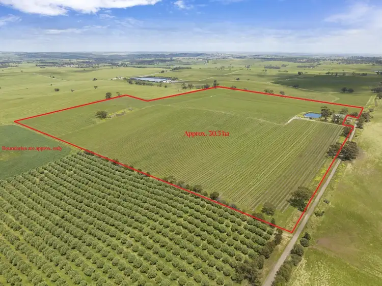 Lot 54 Tank Road, Auburn SA 5451