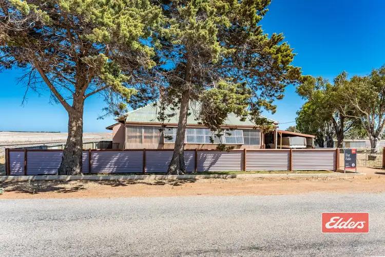 817 McCartney Road