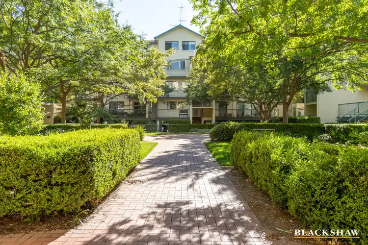 221/15 Jardine Street