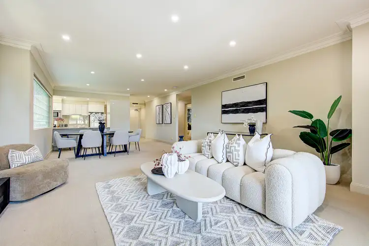 3/19 Harrison Street