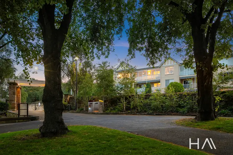6/12 Wilmot Street