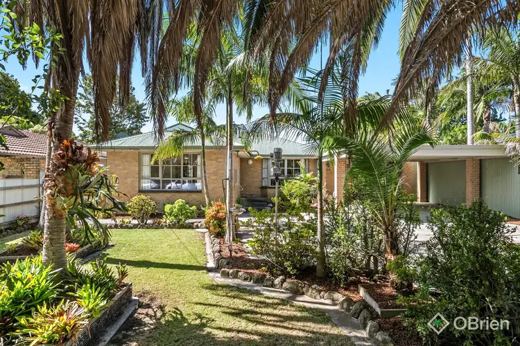 46 Darwin Road