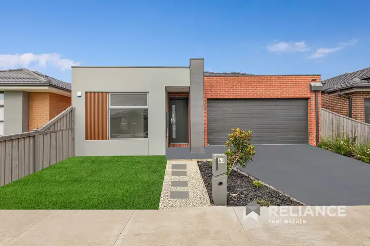 43 Pandorea Street