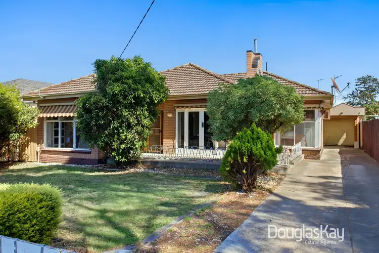 15 Willey Street