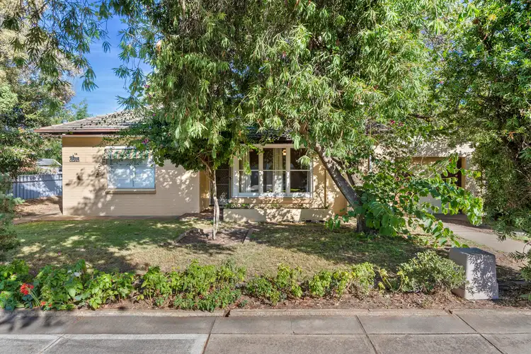 14 Wongala Avenue