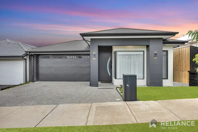 21 Spinebill Street