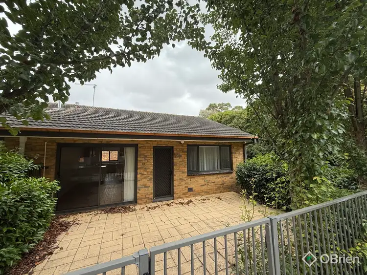 3/55 Kent Street