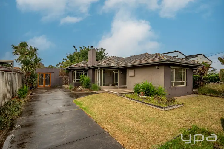 1/23 Jellicoe Street