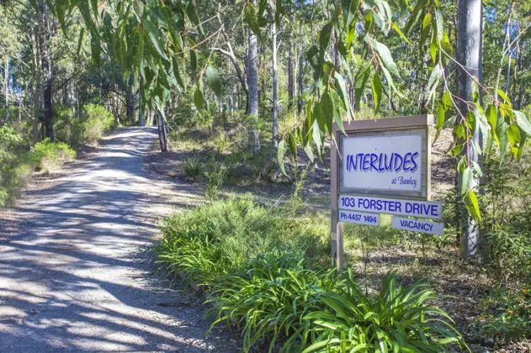 Main view of Homely rural property listing, 103 Forster Drive, Bawley Point NSW 2539