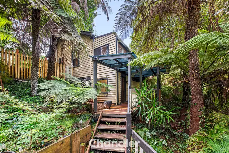289 Monbulk Road