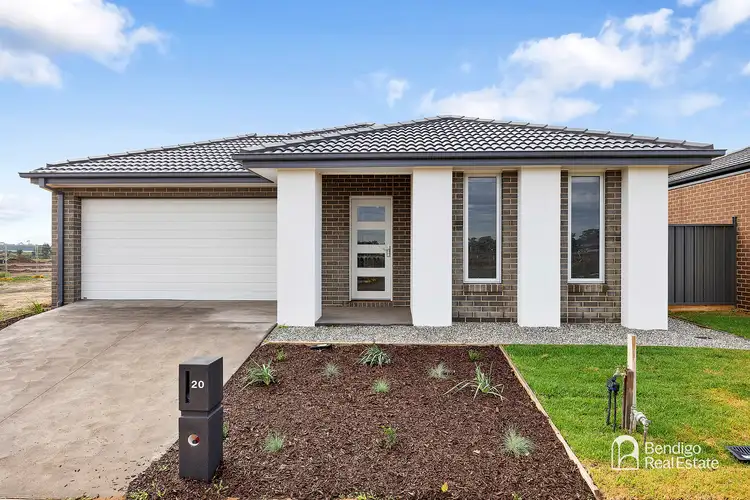 20 Betoota Avenue