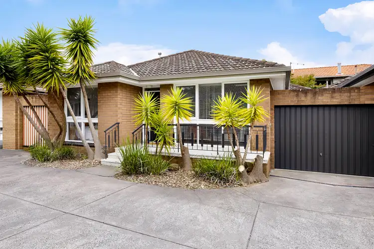 2/8 Elizabeth Street