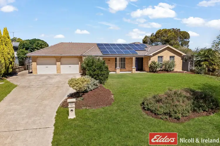 10 Maple Close