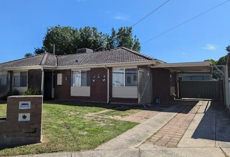 3 Damian Court