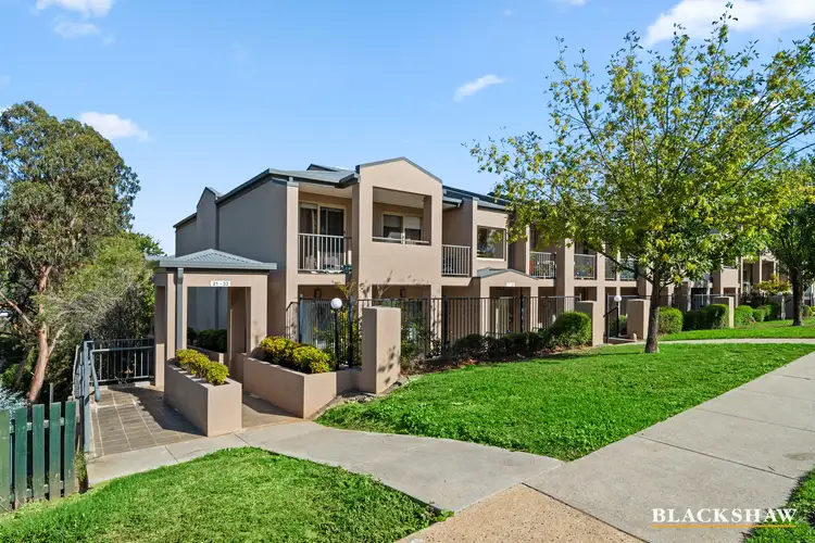 28/43 Antill Street