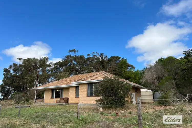 35B Tonkin Road