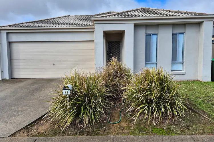 43 O'Meara Street