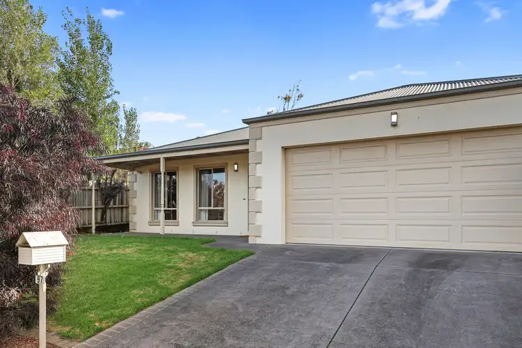 97 Ardlie Street