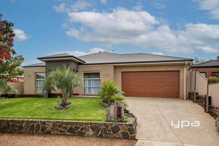 6 Bowerbird Place