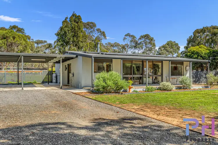 97 Williams Road