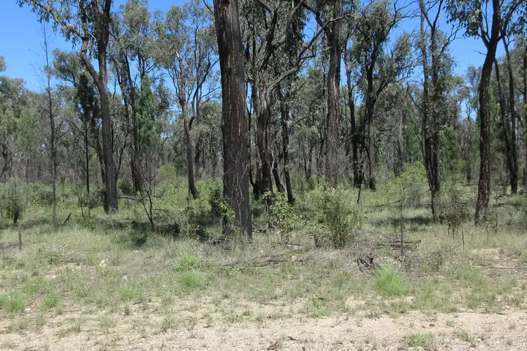 Lot 6 Wallaby Track