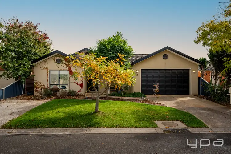 16 Yankos Drive