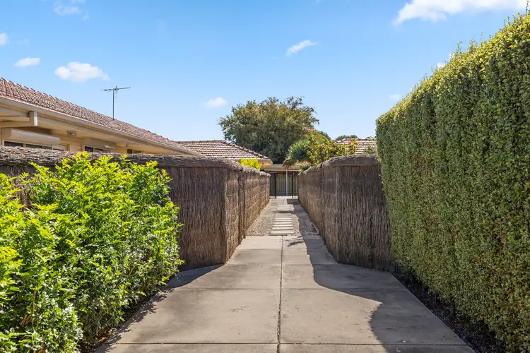 3/41 Shierlaw Street