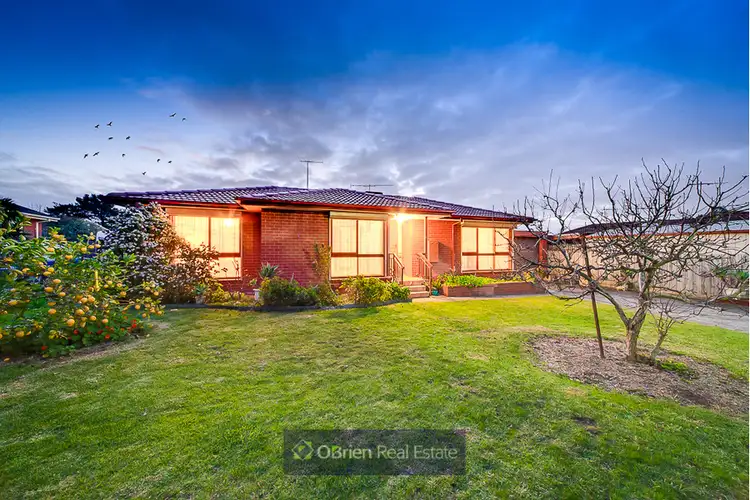 Main view of Homely house listing, 33 Lachlan Drive, Endeavour Hills VIC 3802
