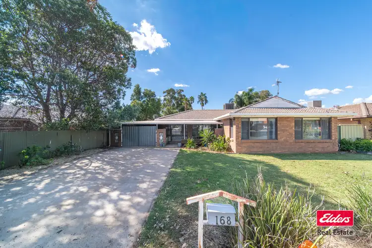 168 Cobra Street