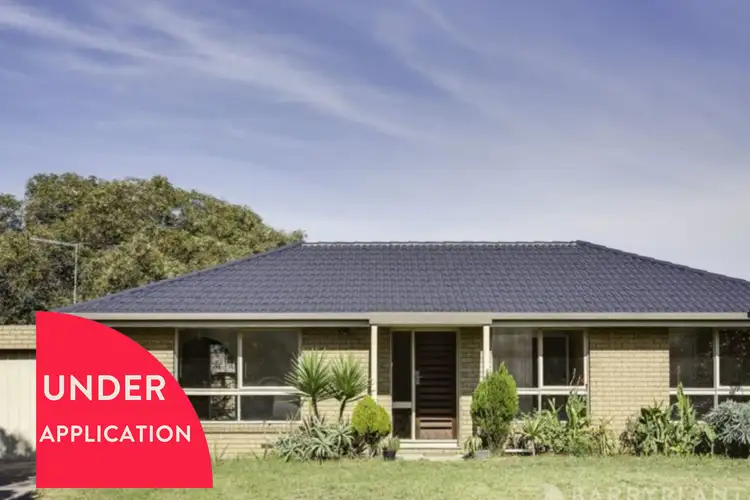 91 Cootamundra Avenue