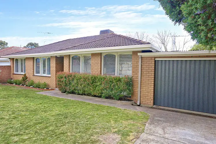 2/14 Alma Street