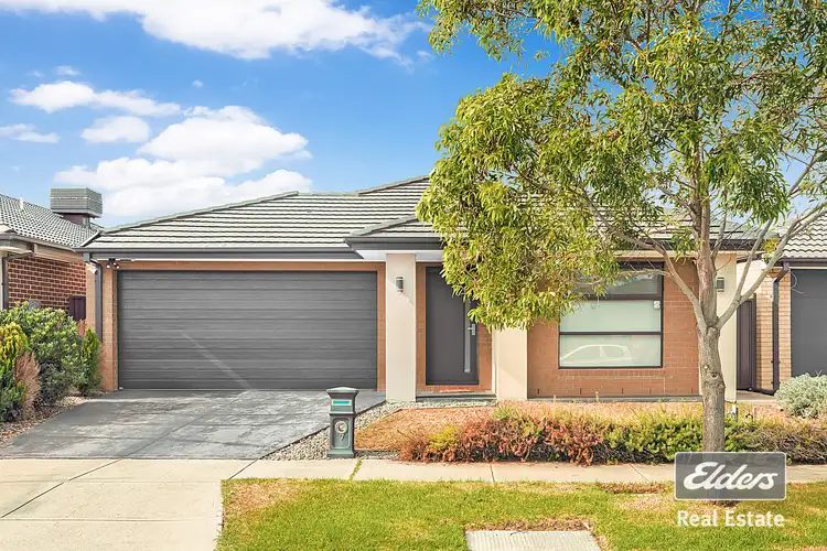 7 Pinebank Street