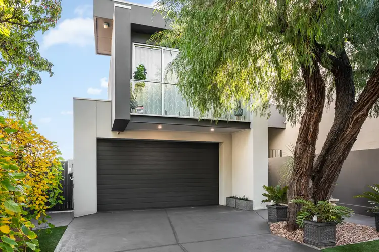 5 Vine Lane