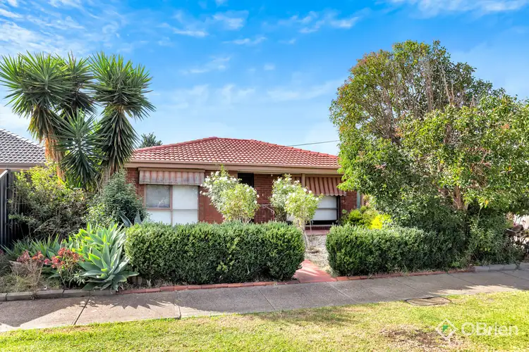 8 Kingfisher Court