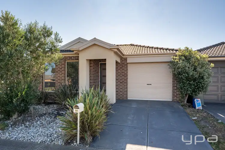 50 Chapman Drive