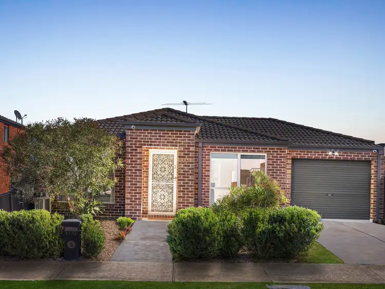 1/51 Carroll Street