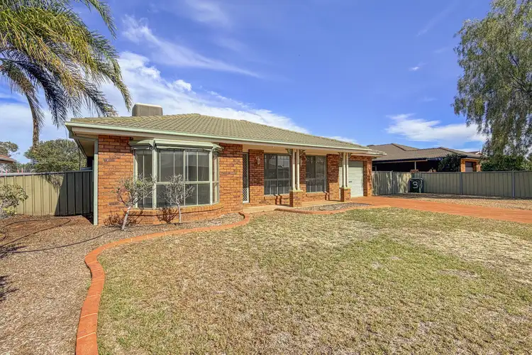 13 Echidna Street