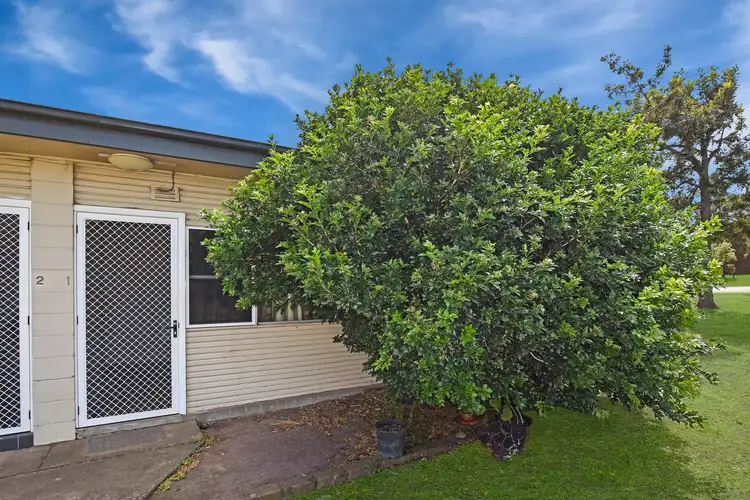 1/50 Birrell Street