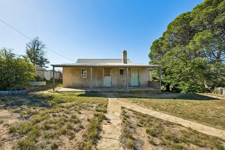 31 Needles Road