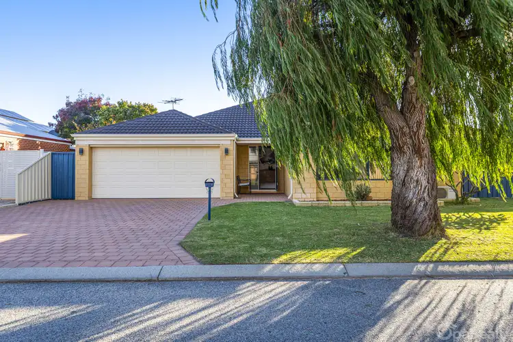 26 Chinchilla Parkway