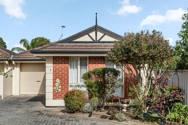 3/1 Vizard Road