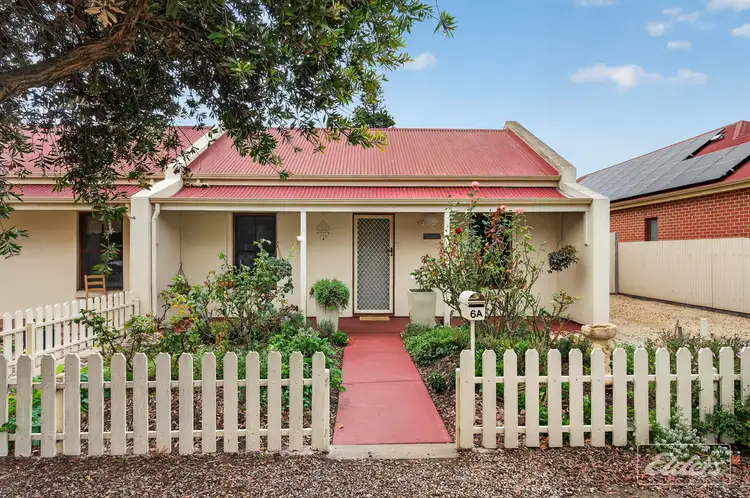 6A Goyder Street