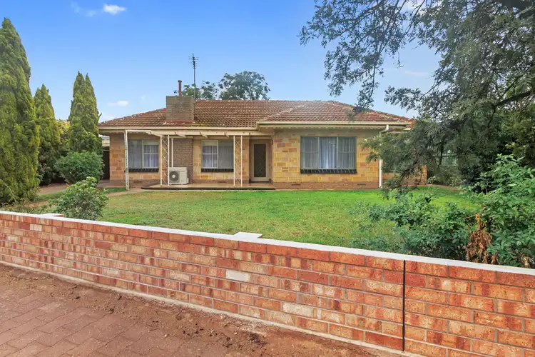 ./33 Edith Terrace