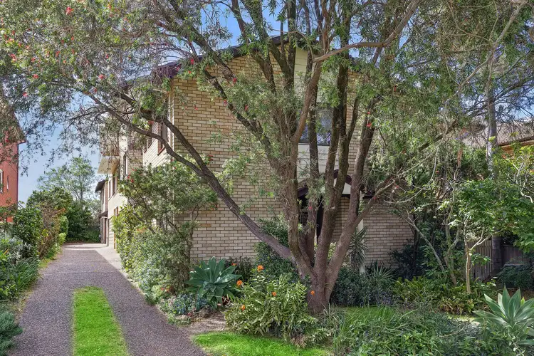 3/36 Letitia Street
