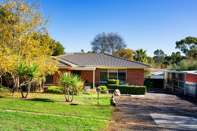31 Carol Street