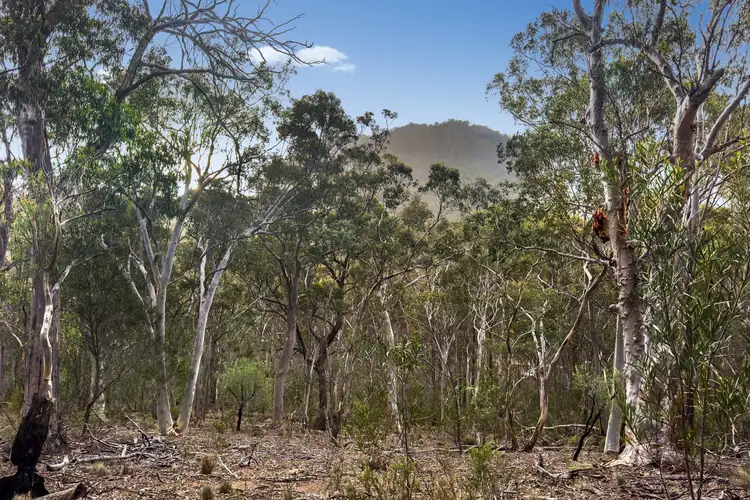 Lot 22 Glen Davis Road