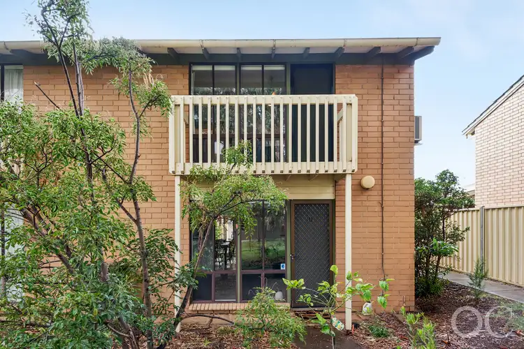 11/18 Windsor Avenue